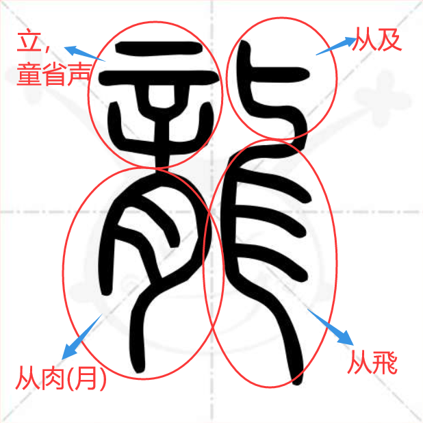 解“龙”字：龍是怎样变成龙的？1