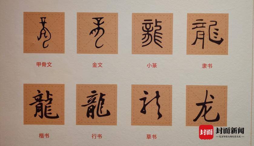 解“龙”字：龍是怎样变成龙的？3