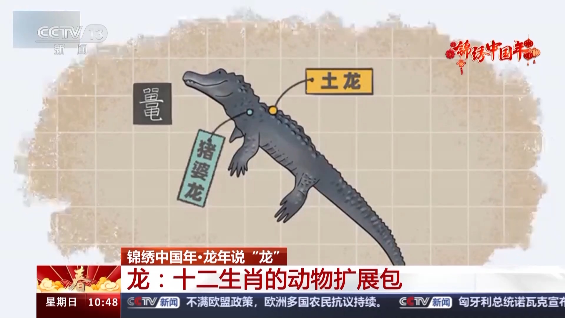 扬子鳄、蟒蛇、蚕……谁更可能是龙的动物原型？3