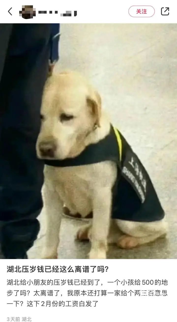 “17个孩子，已发出17000……”来自压岁钱的压力，你有吗？4