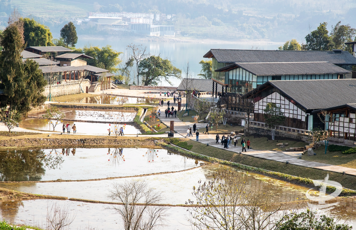 李家院子成为忠县乡村旅游的一张新名片。