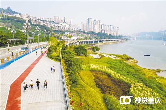巴滨绿岸慢行步道开放 “两江四岸”贯通滨江岸线达57公里