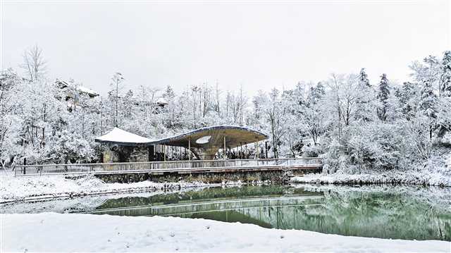 武隆区仙女山街道荆竹村：活化利用传统村落 “荒原”变“归原”