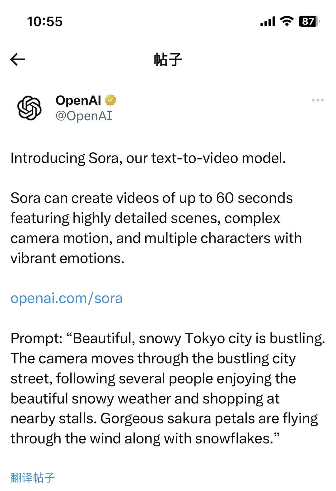 深夜发布“王炸”模型Sora：OpenAI首个文生视频模型将颠覆现实？1