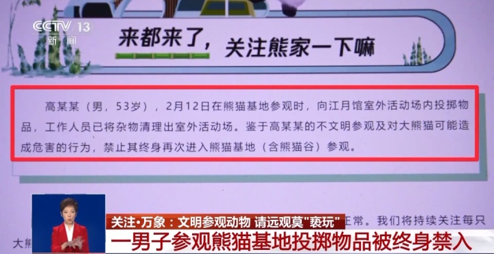 又有游客被终身禁入，为什么不能随意投喂大熊猫？1