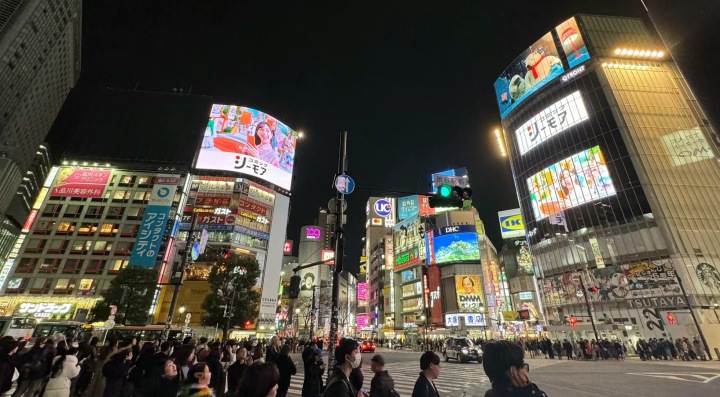 日本看春晚、马代船宿、非洲追“五霸”：年轻人的旅行过年，挺好2