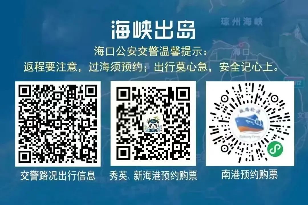 新能源车主海南离岛，有人凌晨4点去排队，有人搭上所有年假4