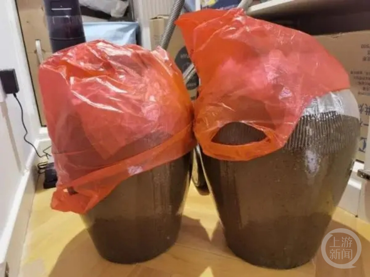 装不下了，真的装不下了！网友晒返程后备箱：整羊两只，够吃一年的大米……1