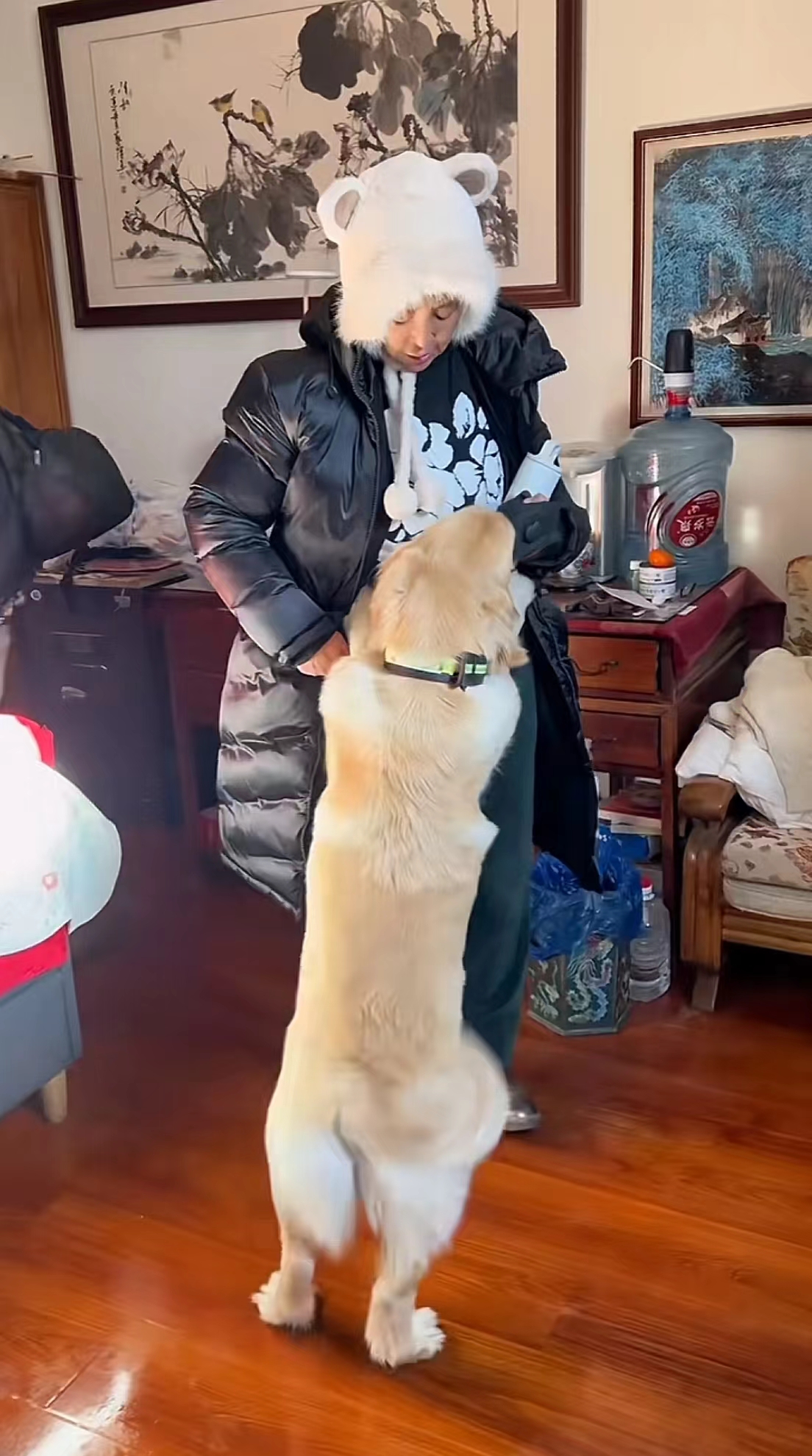 李勤勤收养周海媚爱犬周墩墩,称“一定会照顾好”2