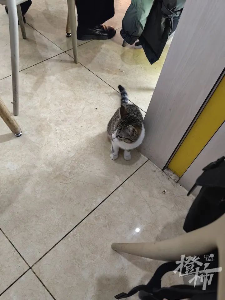 被困沙漠腹地，近千人在服务区打地铺过夜！7