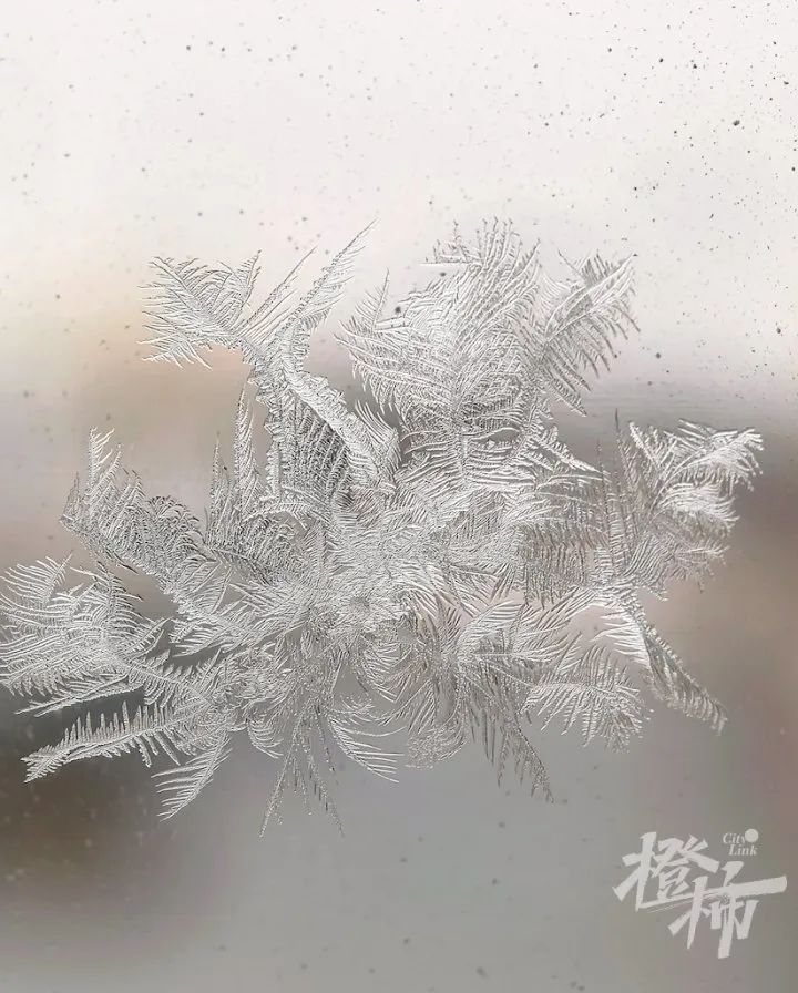 被困沙漠腹地，近千人在服务区打地铺过夜！14