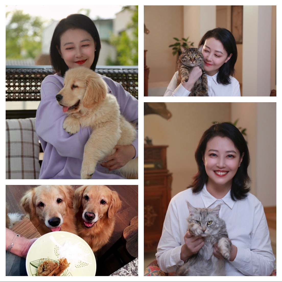 李勤勤收养周海媚爱犬周墩墩,称“一定会照顾好”1