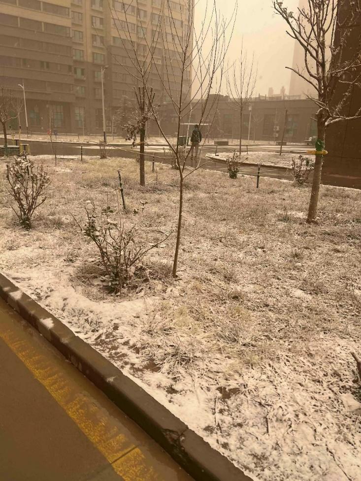 新疆强沙尘暴亲历者称空中夹着土和石子儿，当地人带滞留一家四口回家3