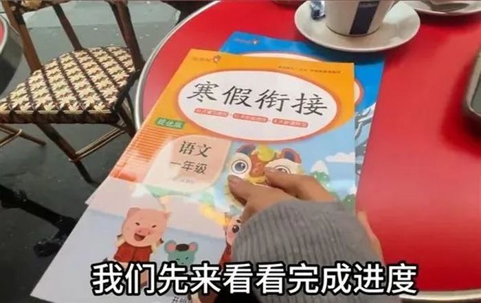 全网寻找“在巴黎弄丢寒假作业的秦朗”！多所学校回应查无此人1