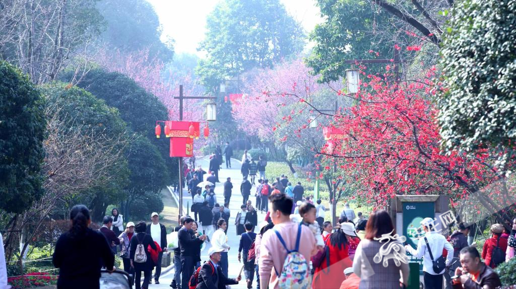 2月19日，重庆中心城区暖阳相伴，但新一轮降温降雨即将抵达。华龙网记者 陈洋 摄