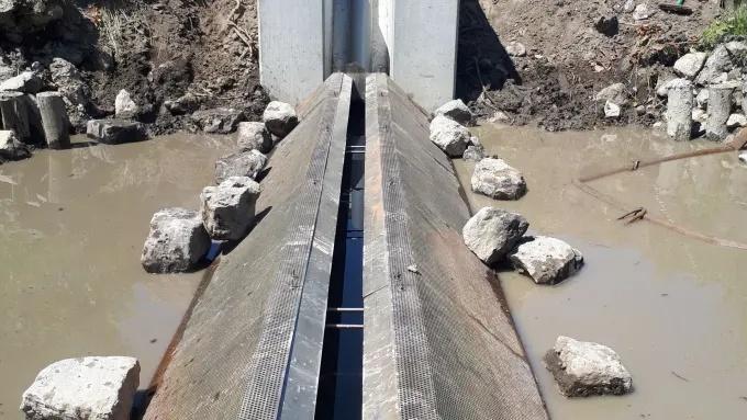 比利时设陷阱诱捕300万只大闸蟹，如何处理令人头疼