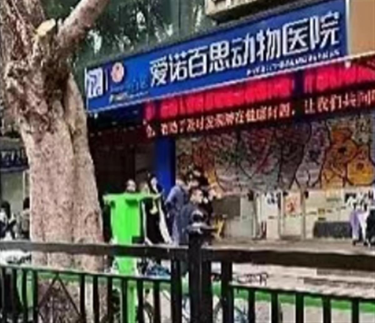 广州一动物医院高压氧舱爆炸致客户受伤？院方：已封锁现场，交给警方调查2