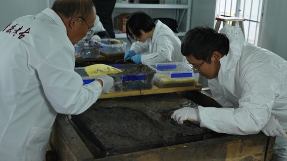 2023年度全国十大考古新发现初评结果揭晓 武隆关口西汉一号墓入围终评