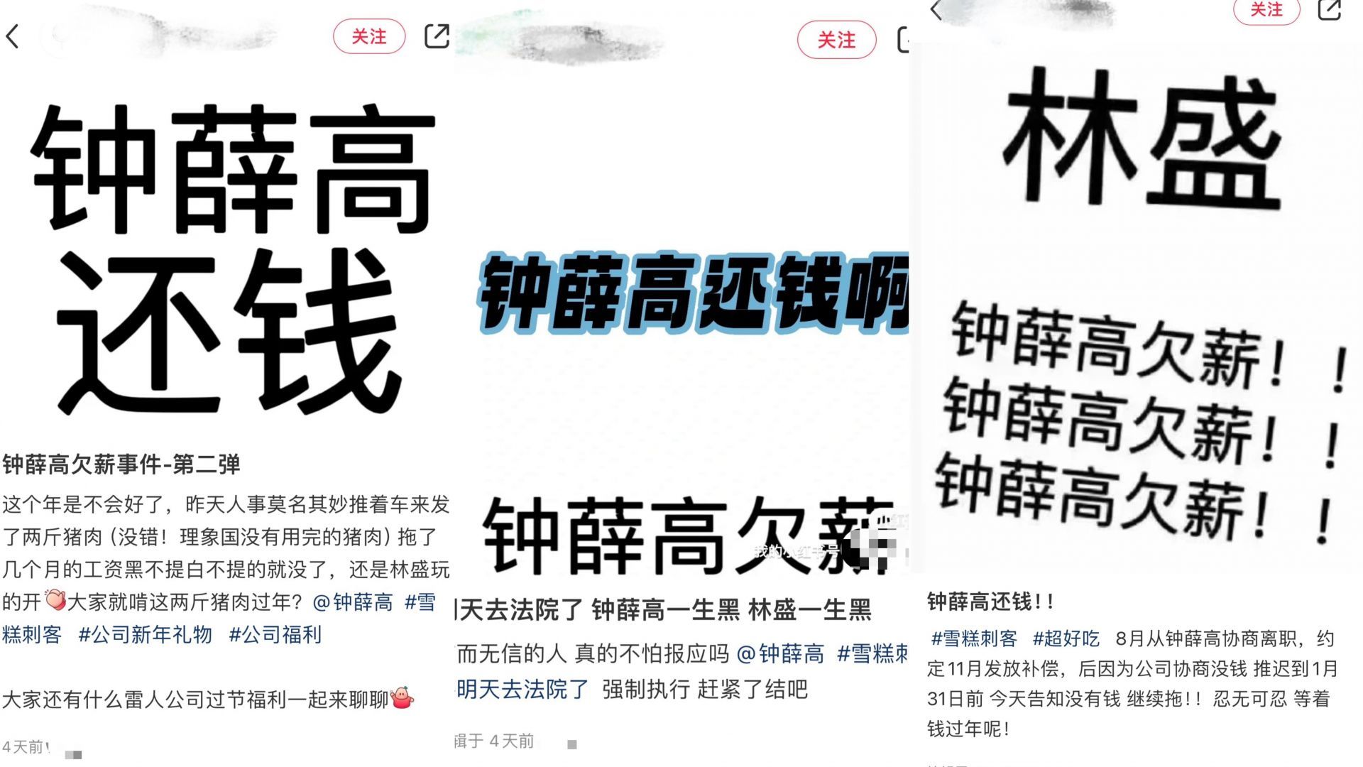 钟薛高被执行81万元！股权冻结、公号停更，“雪糕界的爱马仕”如何翻身？3