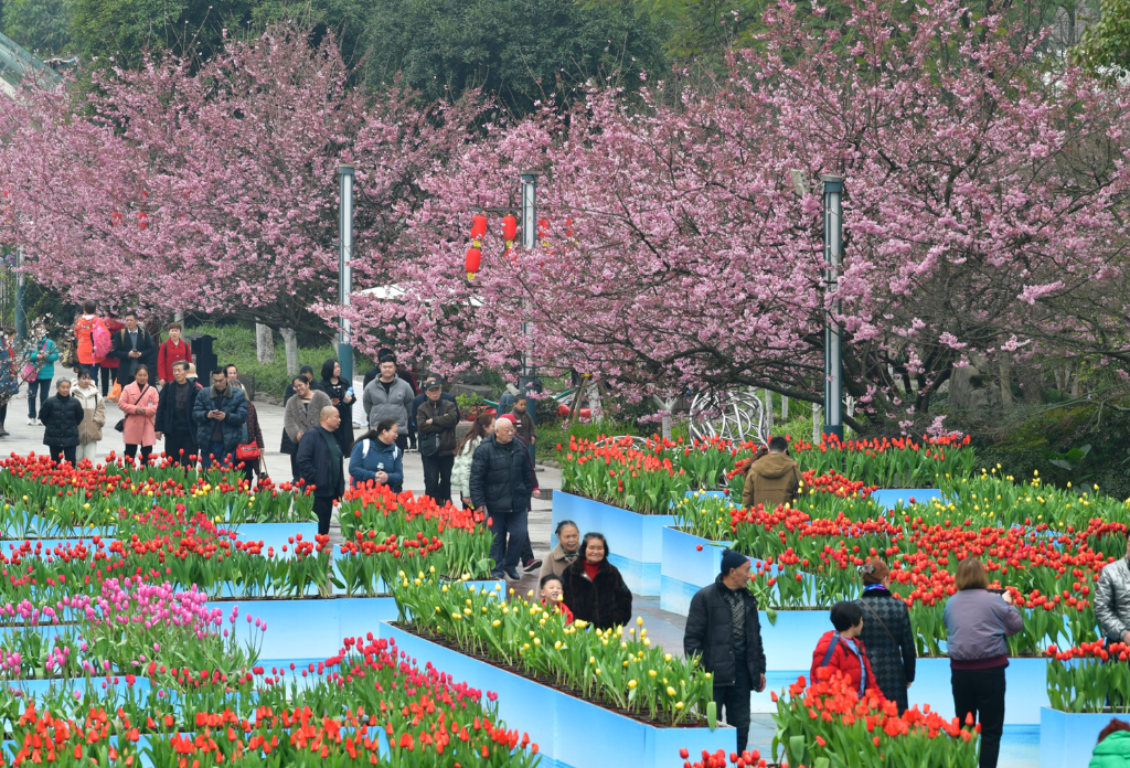 南山植物园。重庆市城市管理局供图