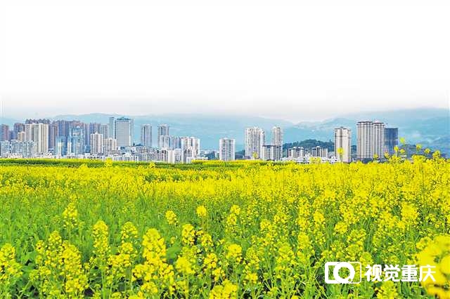 220多个点位 重庆发布“公园里的春天”赏花指南