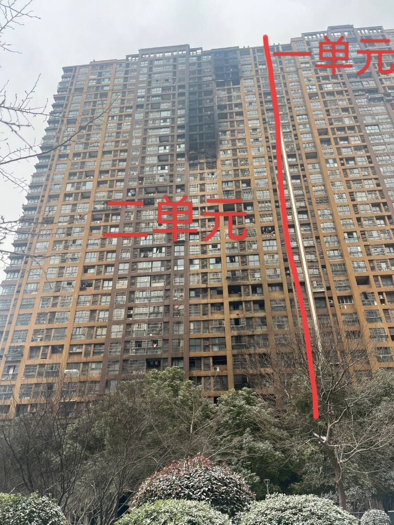 未命名图片1