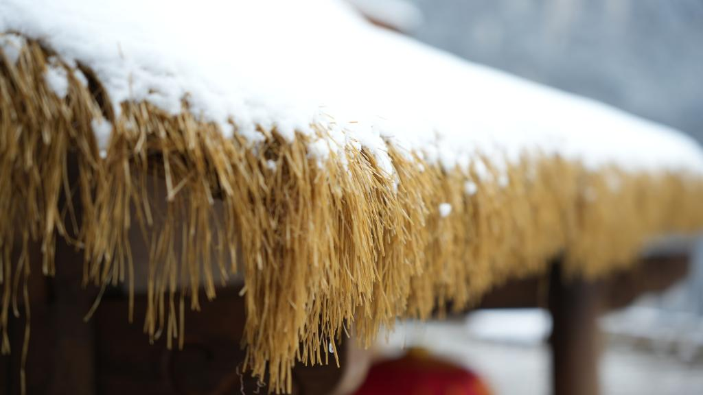 The snow-capped roof