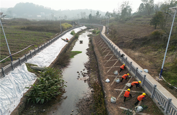 桃花溪-龙溪河水系连通出口段配套工程现场，工作人员在进行生态毯铺设。何胜 摄