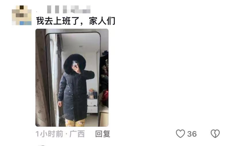 未命名图片12