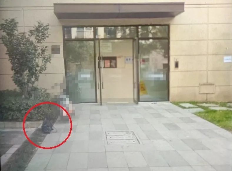 “我丢了个包，里面都是黄金！”2