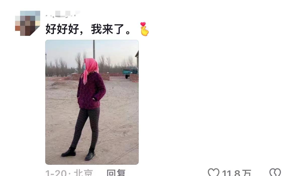 未命名图片8