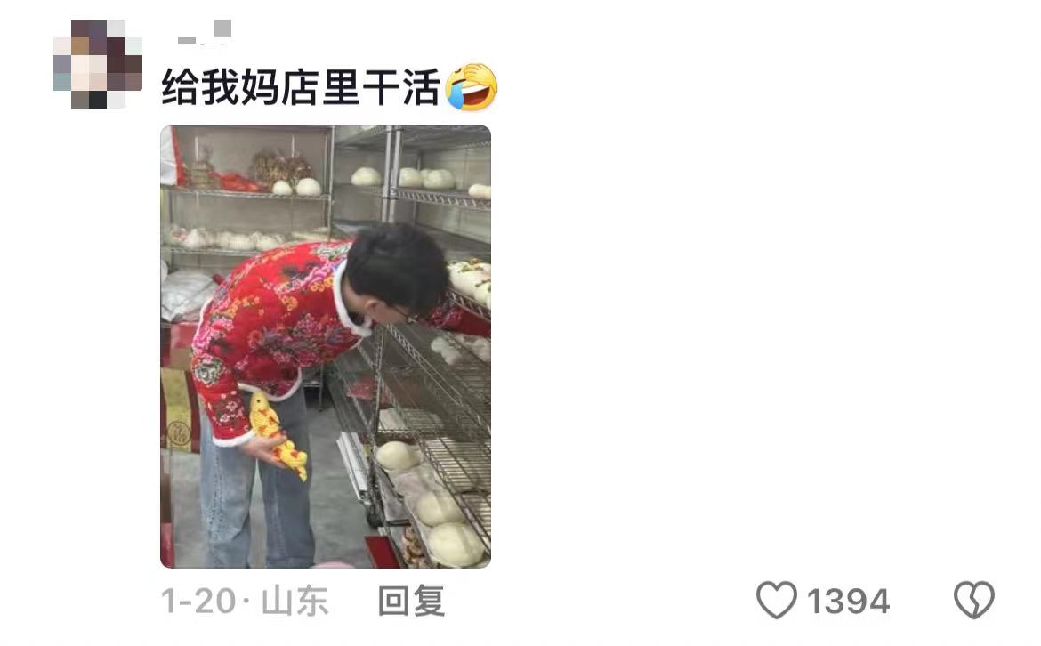 未命名图片10