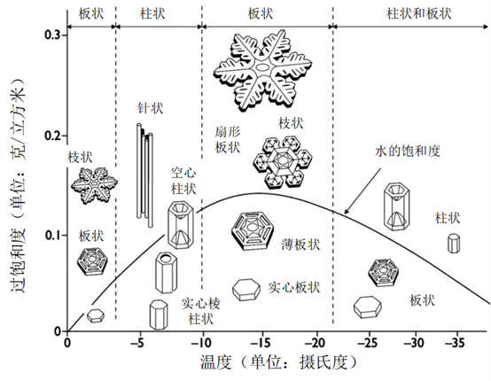 安徽一女子拍下罕见“冰针”雪,专家释疑→2