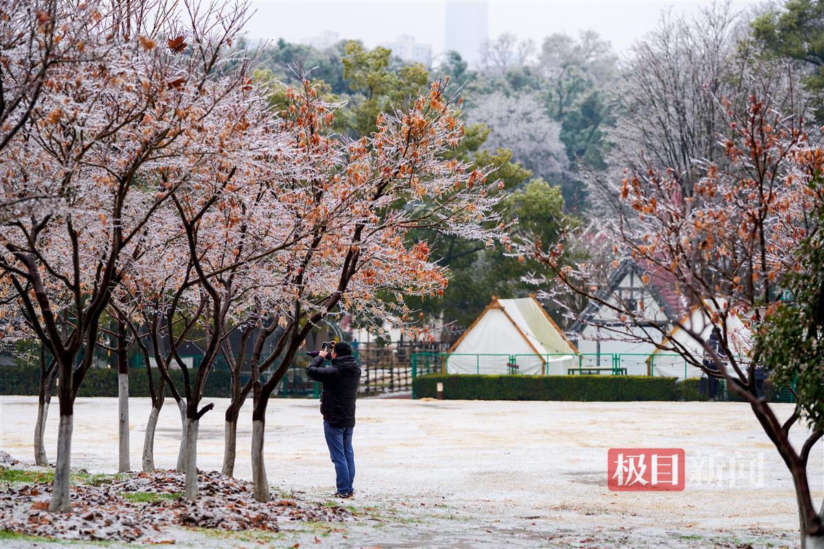 Freezing rain+first snow, rare ice beauty in Wuhan 5
