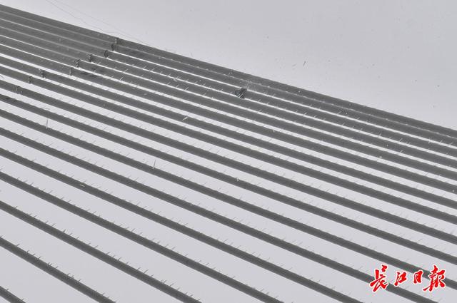 冻雨之后,工人从武汉二七长江大桥桥顶释放铁环除冰1