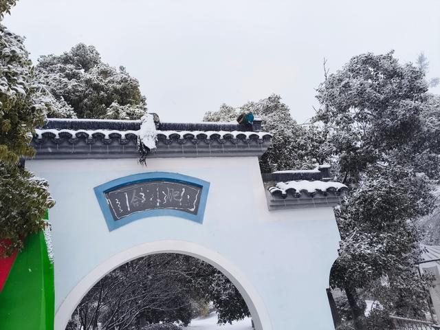 武汉暴雪两只孔雀被冻在墙上，景区工作人员：已成功救下，状态良好，后期会圈养躲避寒流1