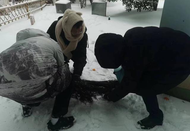 武汉暴雪两只孔雀被冻在墙上，景区工作人员：已成功救下，状态良好，后期会圈养躲避寒流3