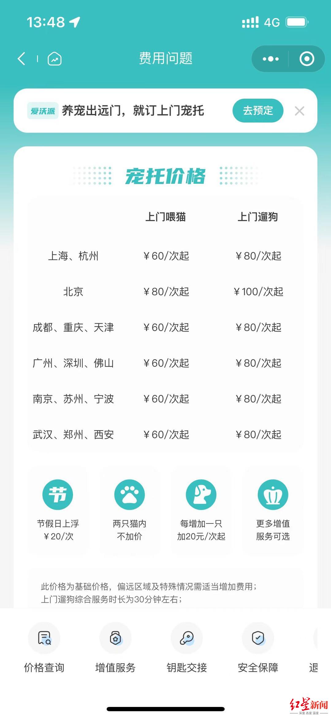 宠物也能“在家过年”！上门喂养服务火爆，一博主称10天收入近万元2
