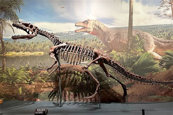7展示中的恐龙化石。受访者供图.jpg