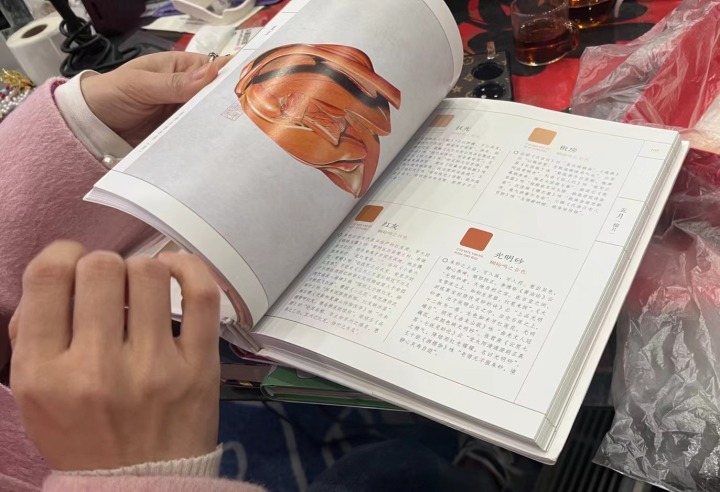未命名图片10