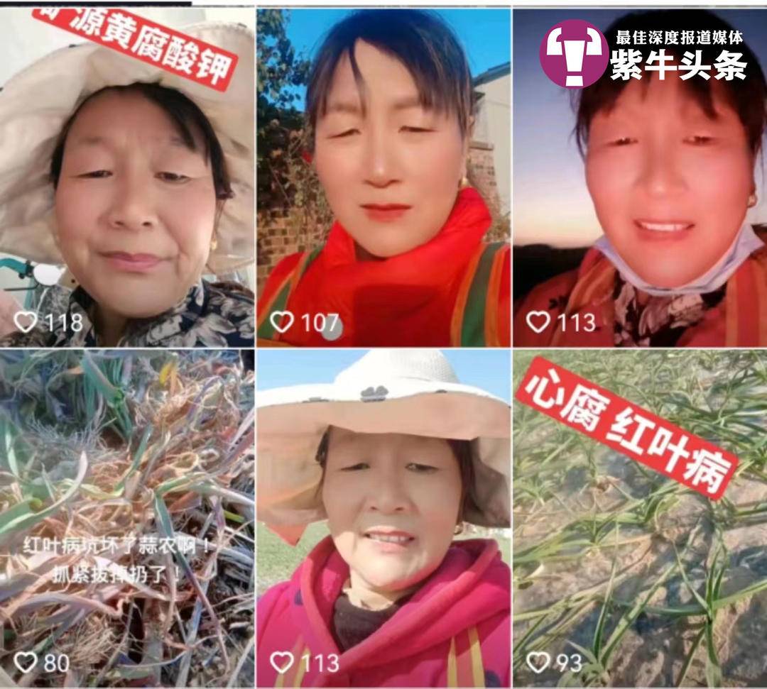 妈妈直播教人种地赚得比我多！徐州女孩：成为农民知播的老妈太励志6