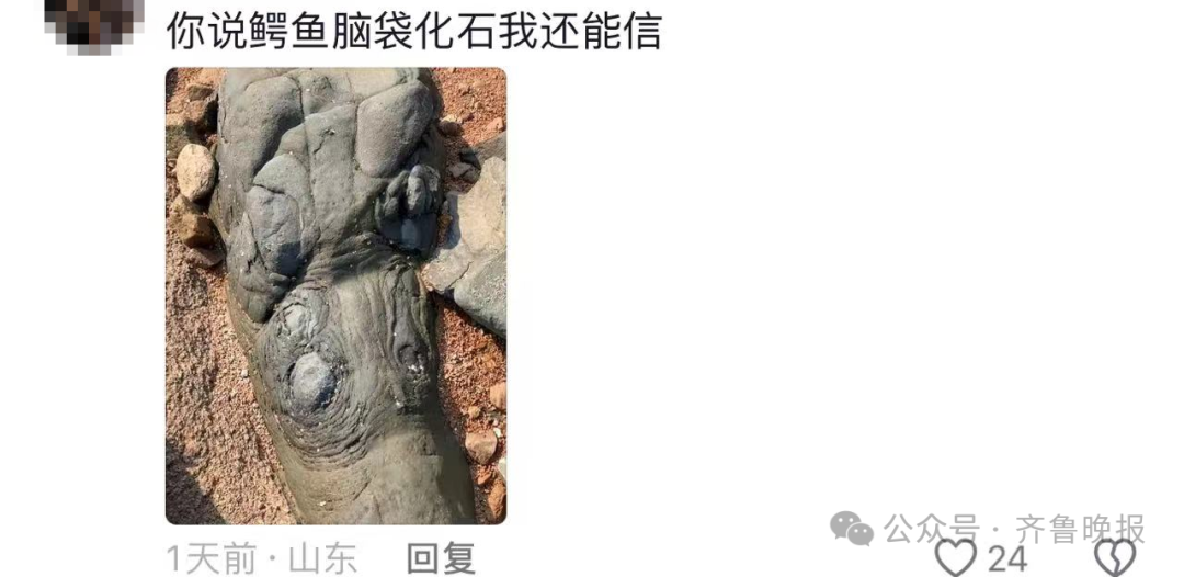 青岛海边大量火山蛋，里面藏着钻石？有人提着锤子去了……专家发声5
