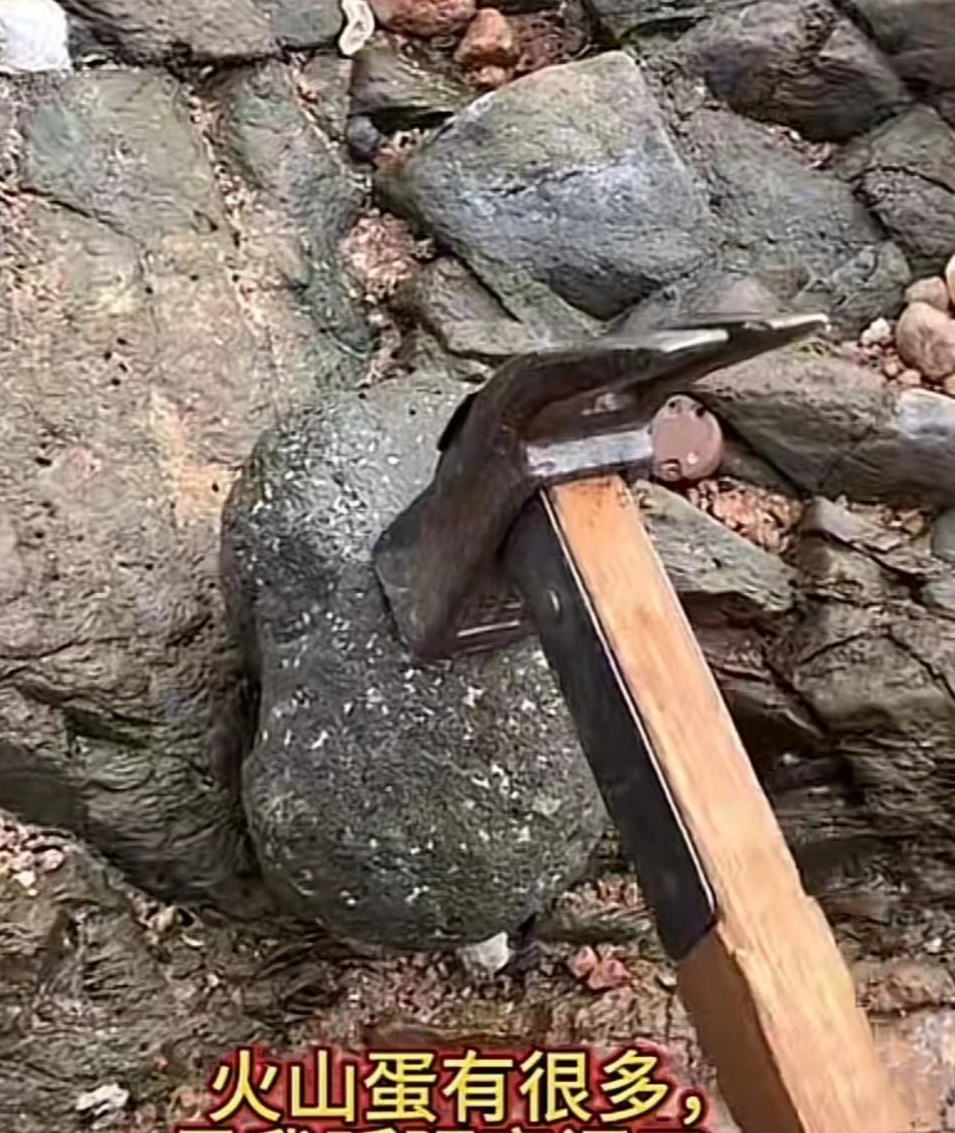 青岛海边大量火山蛋，里面藏着钻石？有人提着锤子去了……专家发声2