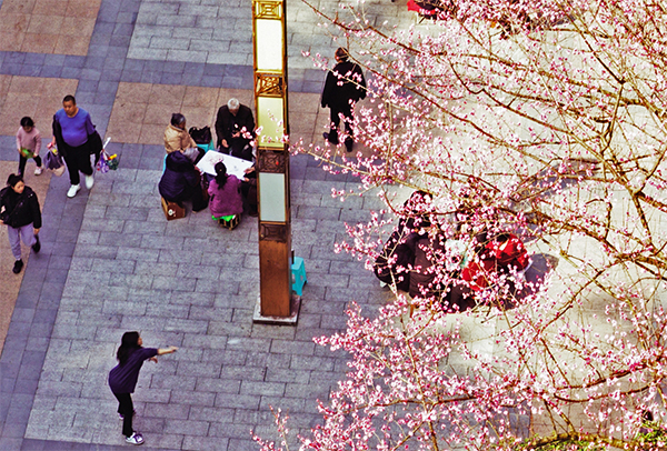 Residents enjoyed a beautiful spring day. (Photo provided by Zhao Yong)