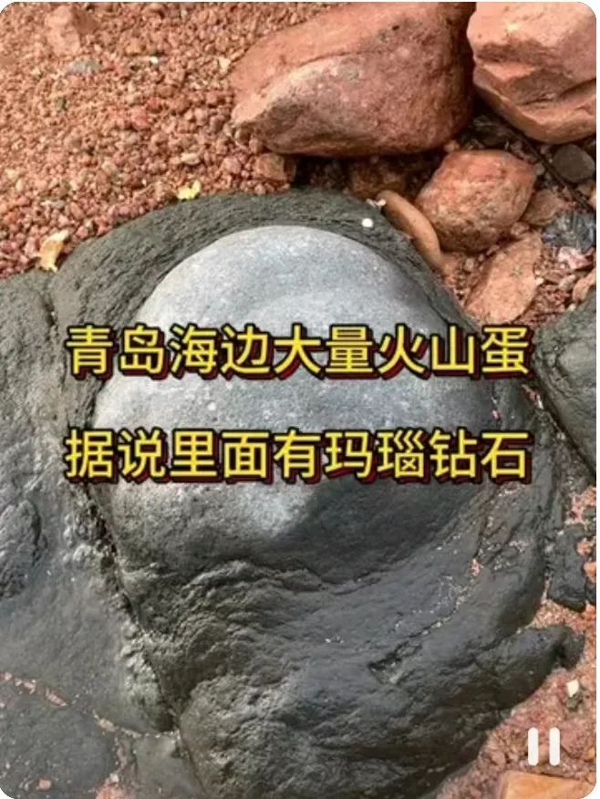 青岛海边大量火山蛋，里面藏着钻石？有人提着锤子去了……专家发声1