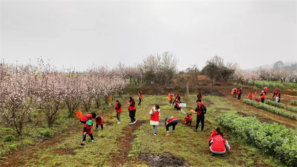 亲子家庭参与植树活动。铜梁区委宣传部供图  华龙网发 