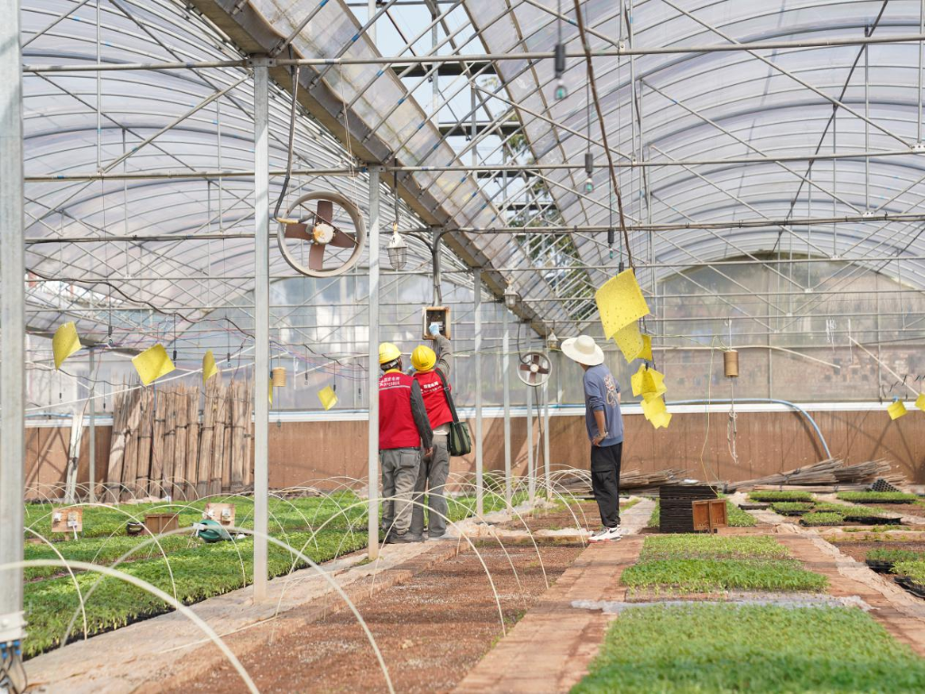 3月11日，电力服务队在重庆科光潼农种苗有限公司检查苗圃线路安全用电隐患。通讯员 李旭 摄