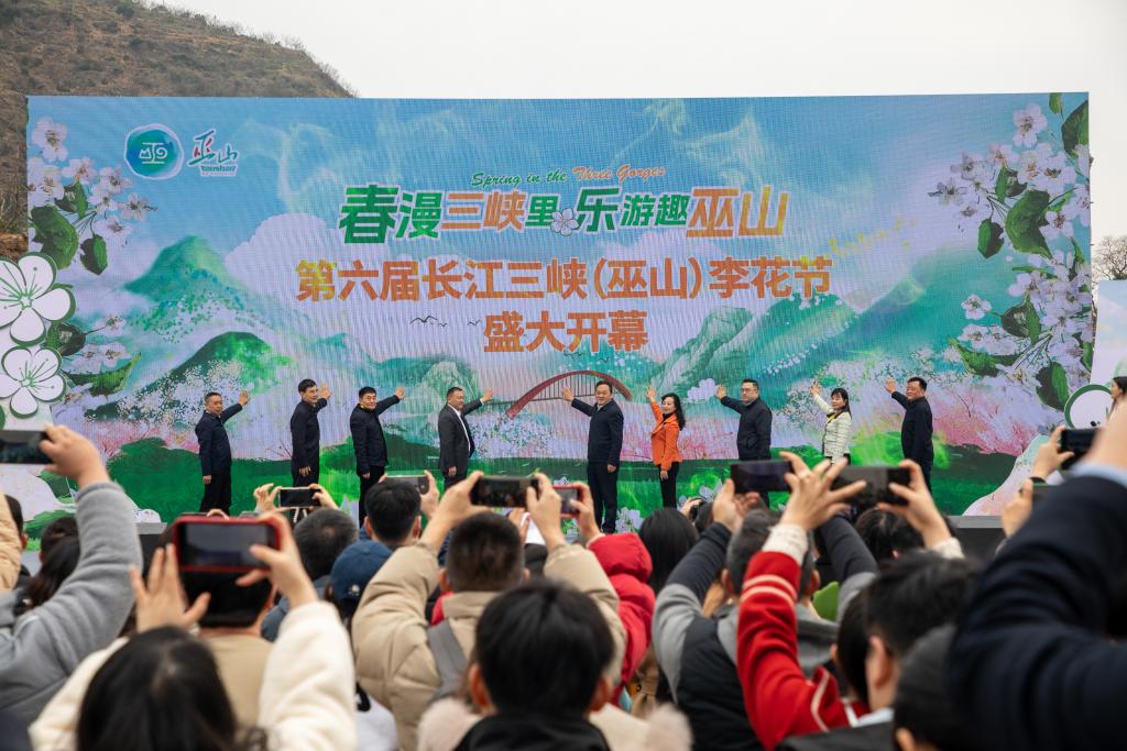 3月12日，第六屆長江三峽（巫山）李花節(jié)開幕。巫山縣文旅委供圖