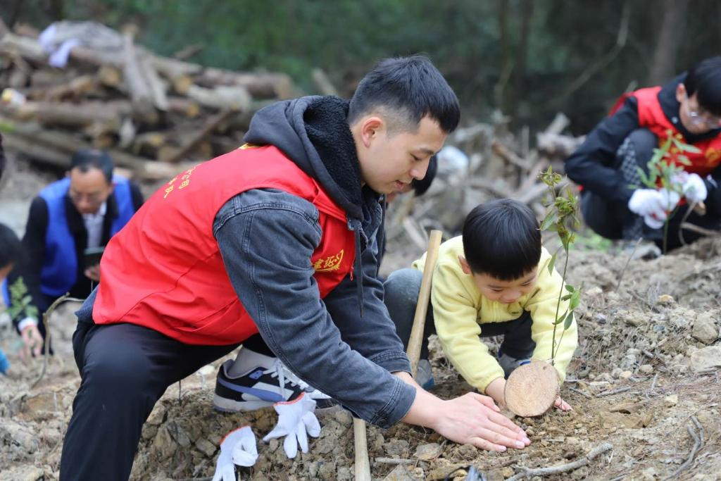 Volunteers planting small saplings. (Photo provided by the China Construction Eighth Engineering Division)