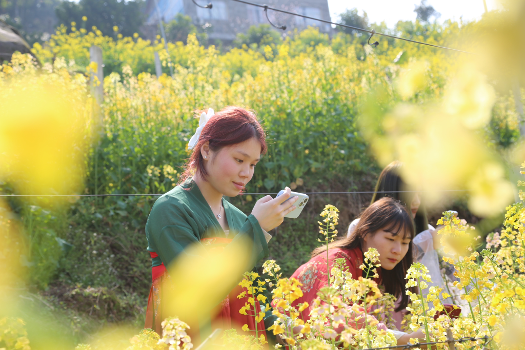 Visitors took photos in the flower field. (Photo provided by the scenic spot) 